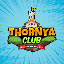 Майнкрафт сервер play.thornya.club