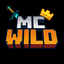 Майнкрафт сервер play.mcwild.fun
