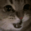 Майнкрафт сервер cookiecraft.my.pebble.host:25577