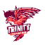 Майнкрафт сервер trinityindonesia.my.id