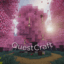 Майнкрафт сервер play.questcraft.top