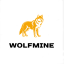 Майнкрафт сервер top.wolfmine.online