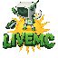 Майнкрафт сервер livemc.xyz