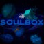 Майнкрафт сервер play.soulbox.su