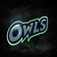 Майнкрафт сервер survivalowls.mcpe.nl:25588