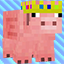 Майнкрафт сервер pigbordersmp.minecra.fr