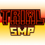 Майнкрафт сервер trialsmp.asia
