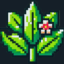 Майнкрафт сервер play.bloomcraft.xyz