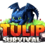 Майнкрафт сервер go.tulipsurvival.com