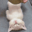 Майнкрафт сервер withermc.de