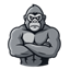Майнкрафт сервер gorillamc.tr