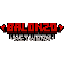 Майнкрафт сервер play.balonzo.net