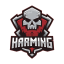Майнкрафт сервер play.harming.org