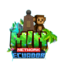 Майнкрафт сервер play.minecuador.lat