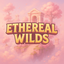 Майнкрафт сервер etherealwilds.minecraft.best:25564
