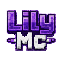 Майнкрафт сервер play.lilymc.fun