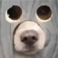 Майнкрафт сервер play.tako.lol