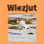 Майнкрафт сервер wiezjut.whatthefoss.com