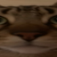 Майнкрафт сервер tigersmp.net