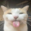 Майнкрафт сервер meowsmp.etnx.sh