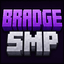 Майнкрафт сервер bradgesmp.feroxhosting.nl