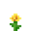 Майнкрафт сервер play.dandelionsmp.com