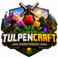 Майнкрафт сервер server.tulpencraft.nl