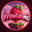 Майнкрафт сервер mc.frawlah.online