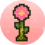 Майнкрафт сервер play.minebloom.net:26795